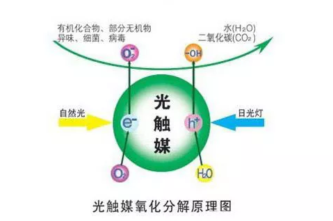 光觸媒能除甲醛嗎？