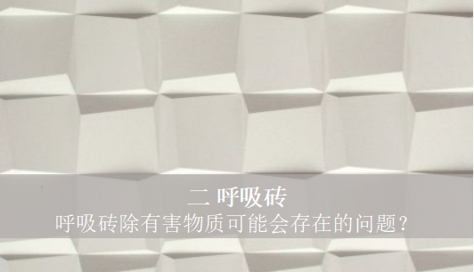 呼吸磚除有害物質(zhì)可能會(huì)存在的問題？