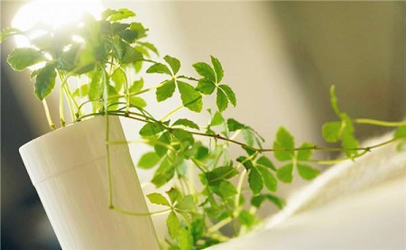 室內(nèi)裝修污染檢測(cè)方法有哪些？不檢測(cè)能入住嗎？