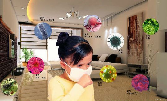 杭州甲醛檢測(cè)告訴你室內(nèi)空氣生物污染不可忽略！