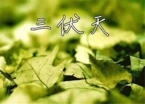 三伏天更要找杭州甲醛檢測公司上門采樣嗎？